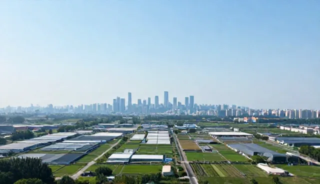 系统管理中的性能瓶颈与能力建设方向